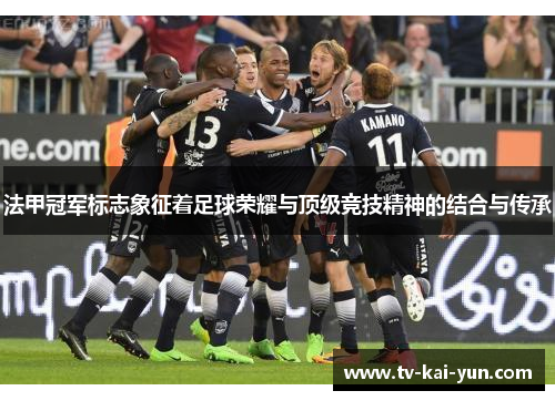 法甲冠军标志象征着足球荣耀与顶级竞技精神的结合与传承