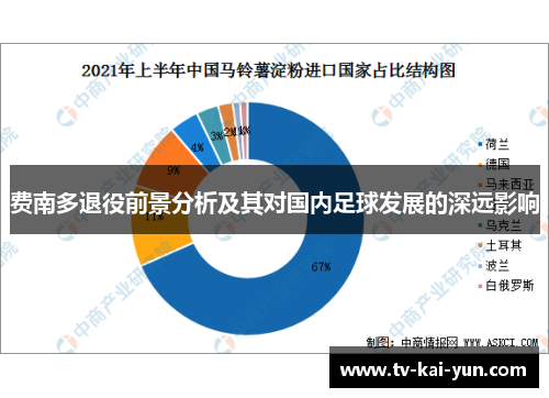费南多退役前景分析及其对国内足球发展的深远影响